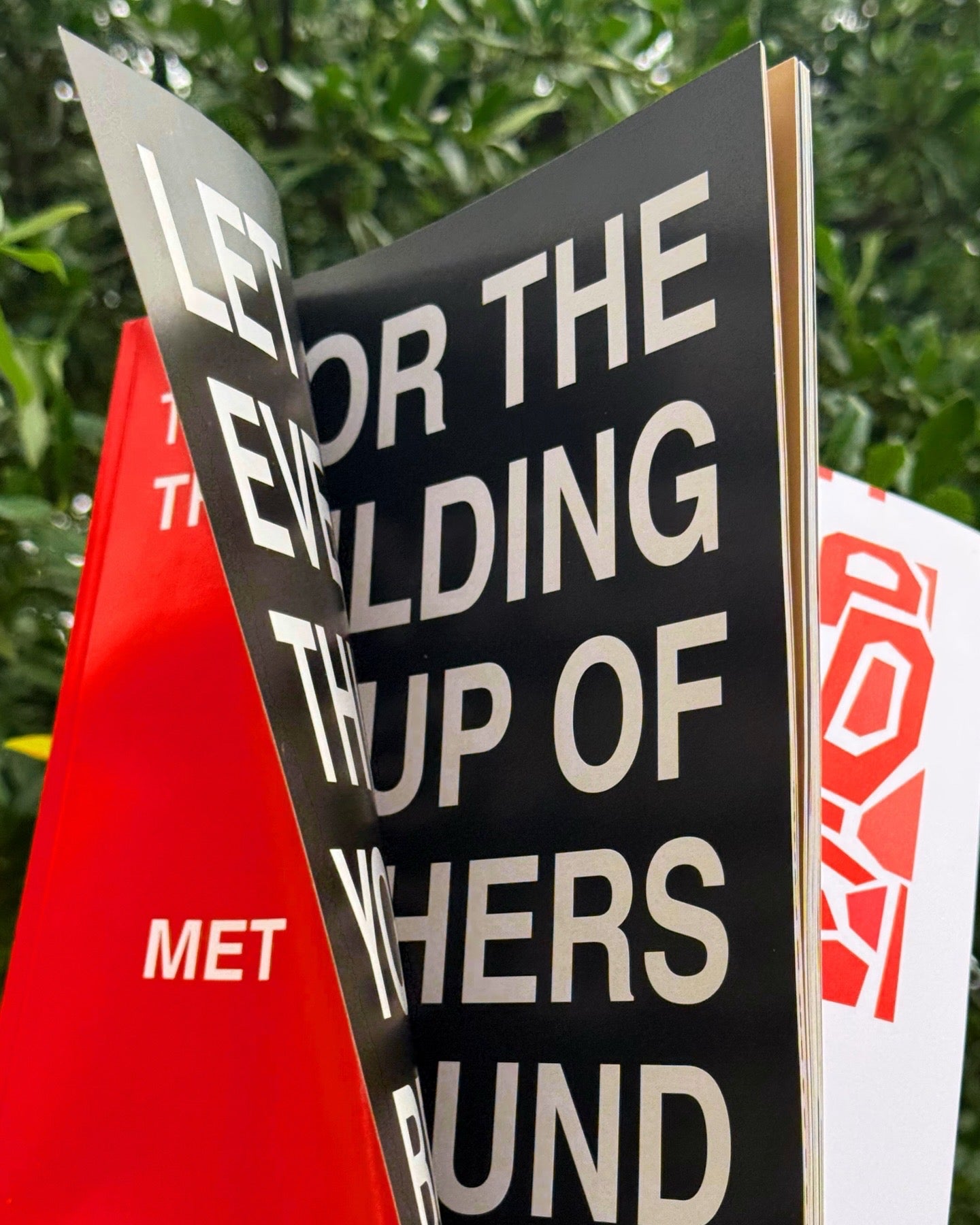 EDEFI COFFEE TABLE BOOK