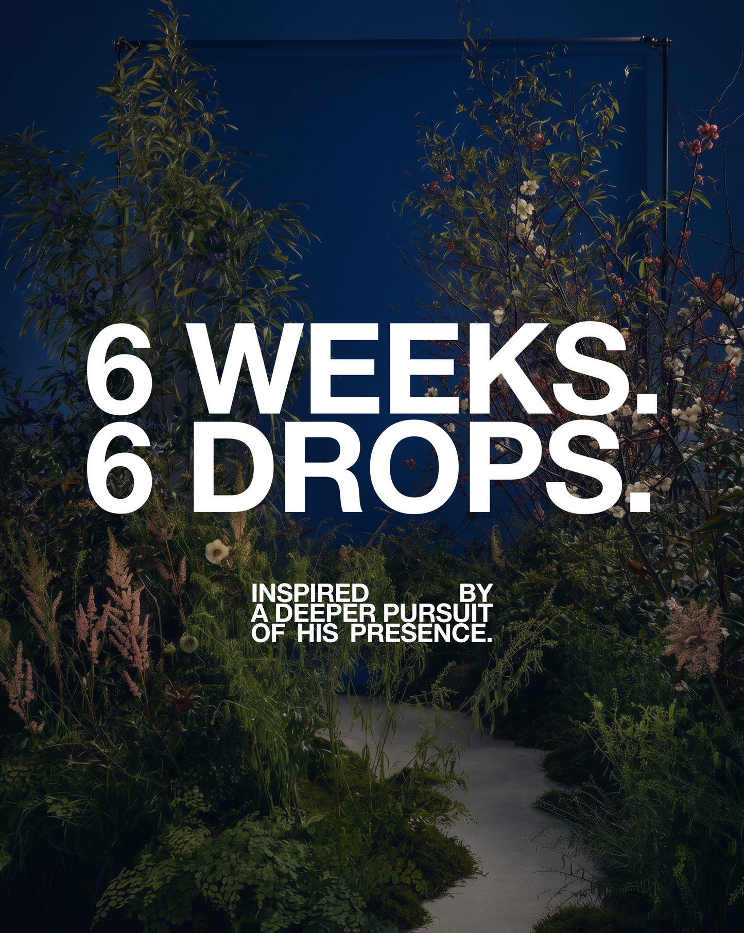 DROP 2